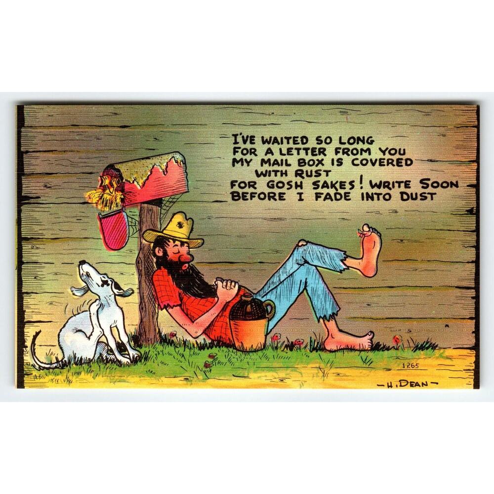 I've Waited So Long for a Letter from You Hillbilly Dog Vintage Linen Postcard